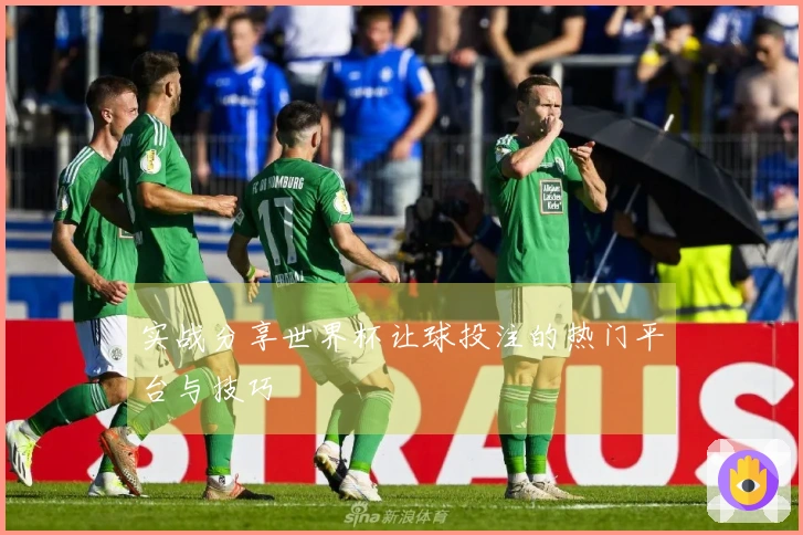 实战分享世界杯让球投注的热门平台与技巧