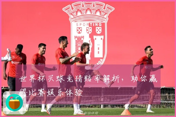 世界杯买球竞猜赔率解析，助你赢得比赛娱乐体验